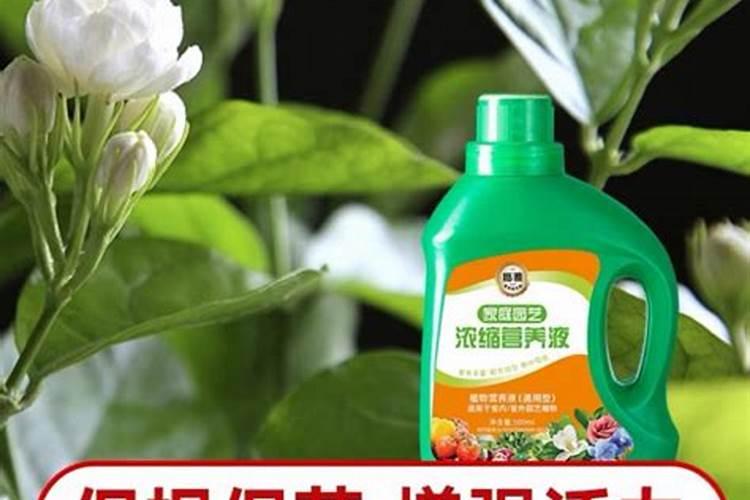 什么花肥好用 养花用营养液好还是肥料好