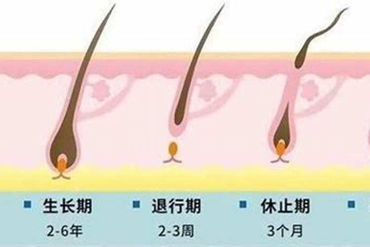 鱼蛋白灌根几天见效