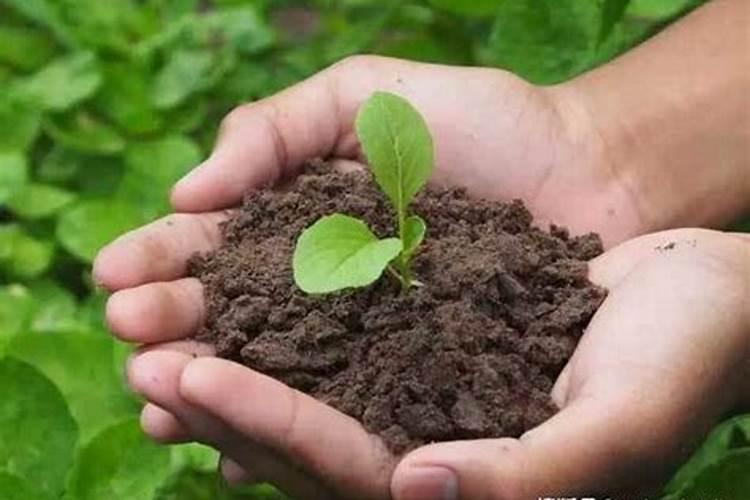 黄腐酸钾的使用方法