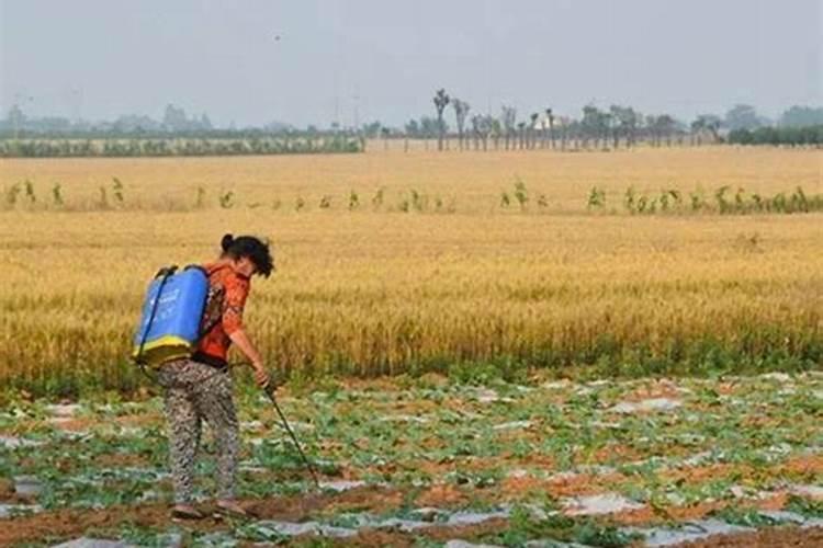 老师们铜制剂可以与哪些药共用