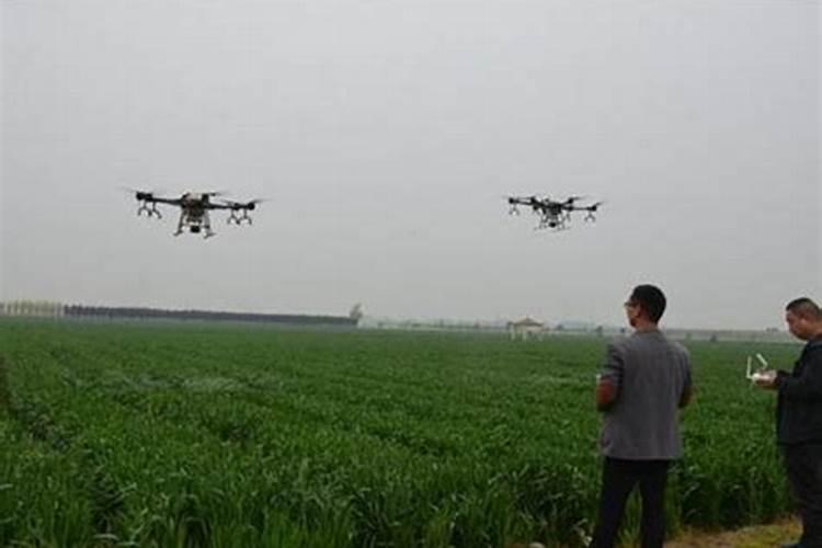 叶面肥可以和打虫药混合用吗