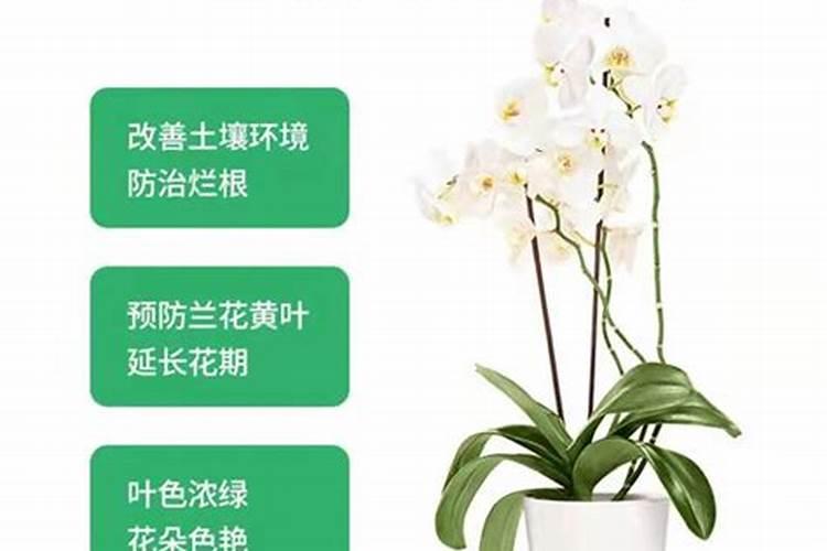 水溶肥坑太深,这些水溶肥别再买了···