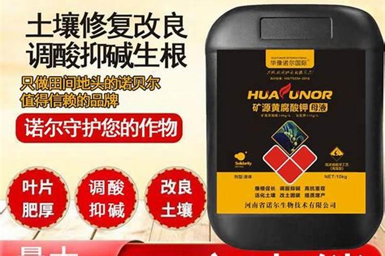棉花施什么肥最好