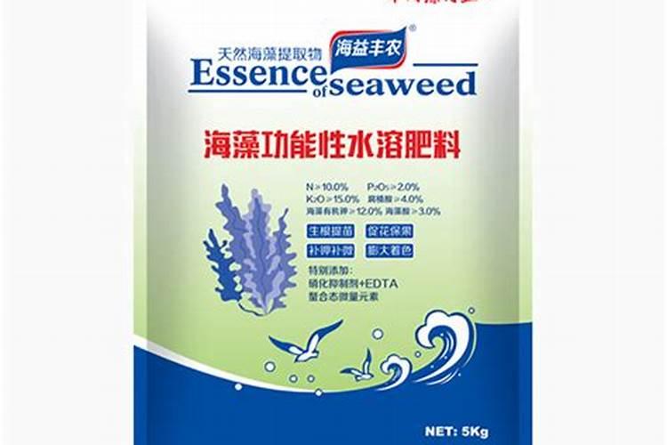 海藻鱼蛋白水溶肥后期能用在大姜上面吗