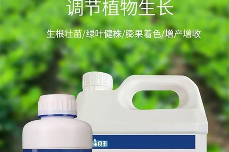 草莓膨果期用什么化肥好？草莓保花保果用什么水溶肥好？