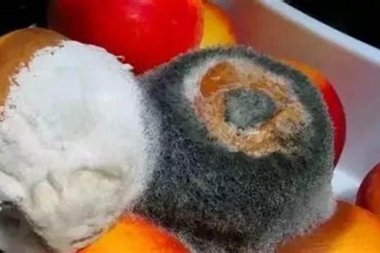 发霉的鱼饲料,能不能给鱼吃的？