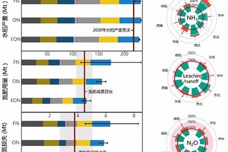 水田生产怎样提高氮肥和磷肥的利用率？