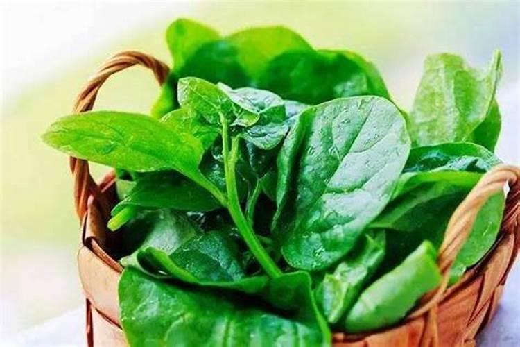 我想给丝瓜,黄瓜,木耳菜施叶面肥,请问用什么好点