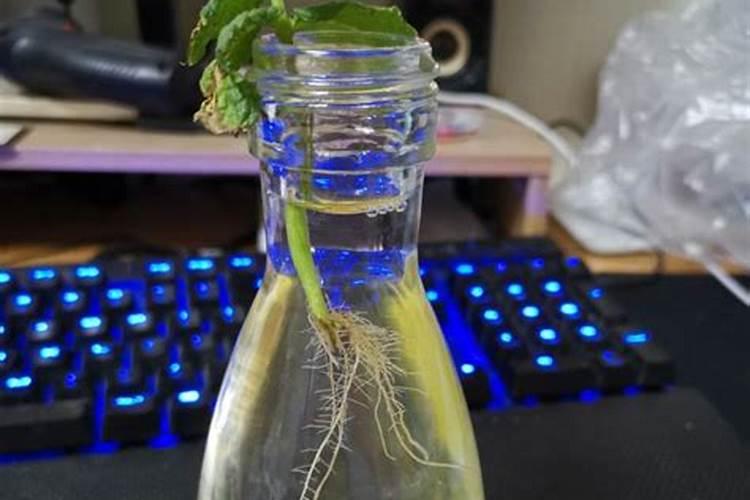 口诀法记忆高中生物知识