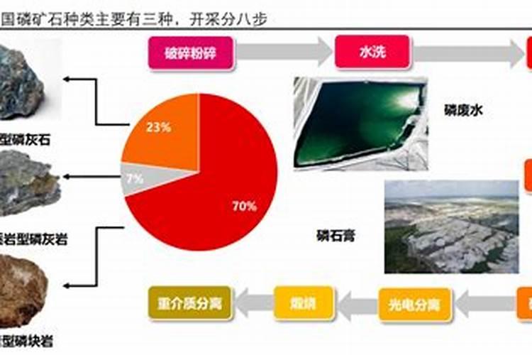 新疆哈密地区适合种植篮宝石吗