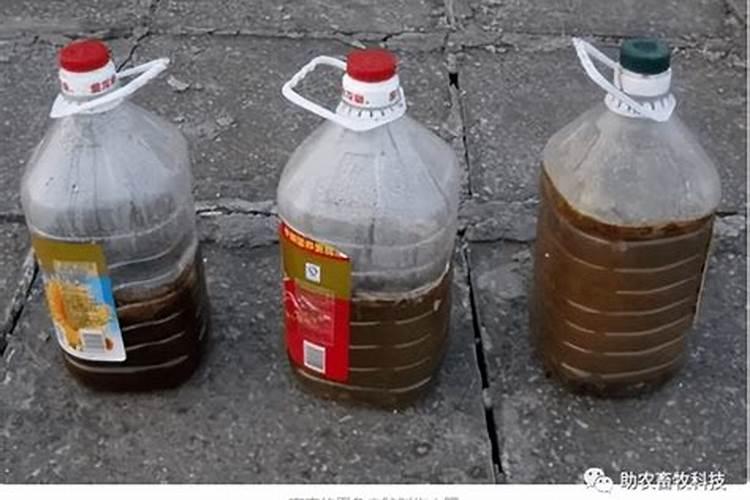 鱼鳞鱼内脏是什么肥