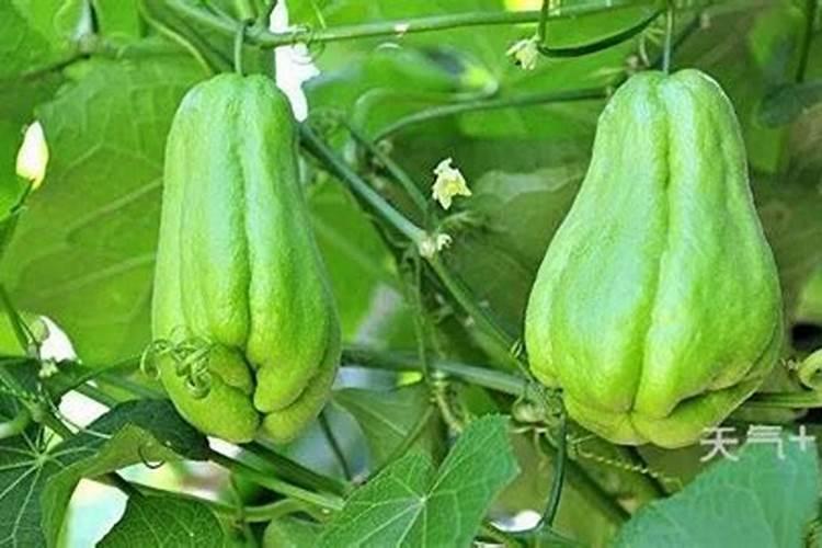 日照有多少家纯净水处理厂？分别叫什么名字？