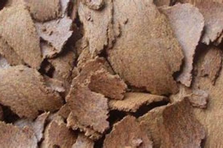 油菜用什么肥料最好