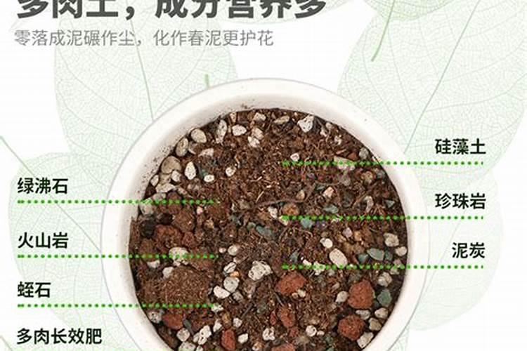 蔬菜育苗基质配方