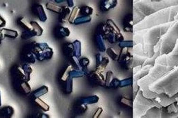 大元素颗粒水溶肥大拳头有哪些营养成分