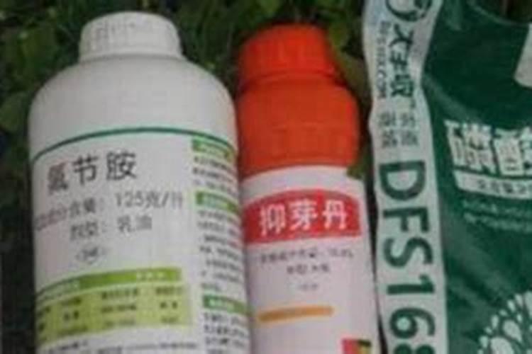 磷酸二氢钾在果树上控梢怎样使用？