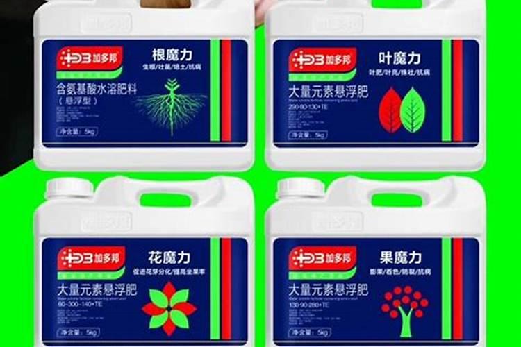 养山茶花施什么肥料最好、茶花施肥的正确方法