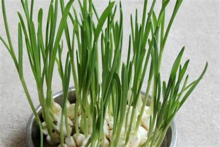 尿素放在水里溶化后水会变得很凉,为什么？