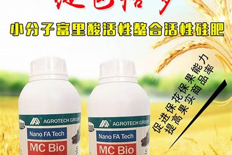 种地瓜应该使用的肥料和农药