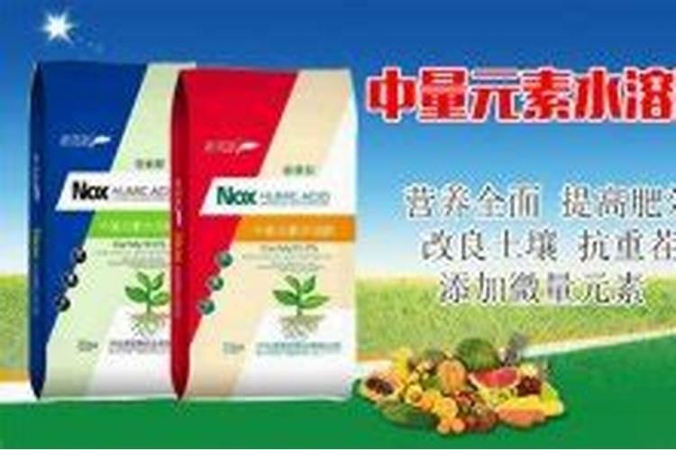 黄芩用什么除草剂？