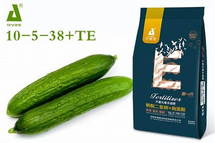 水稻施磷肥有什么作用