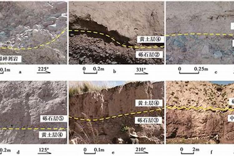 盆栽散尾葵能使用黄腐酸钾吗？