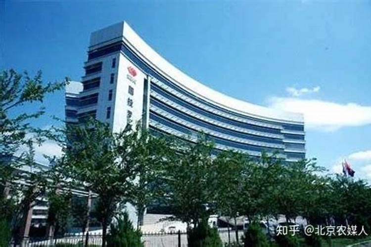 八角施什么肥最好