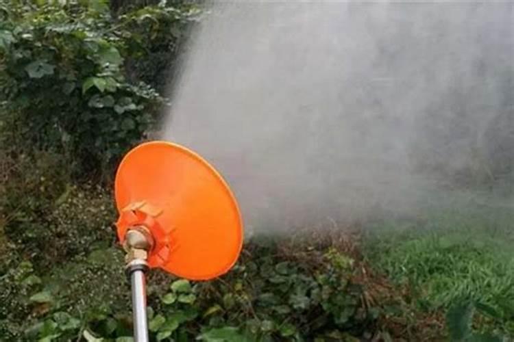 玉米喷施硫酸锌叶面加那种、调节剂好