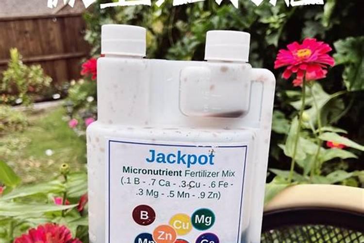 花生施用叶面肥的方法