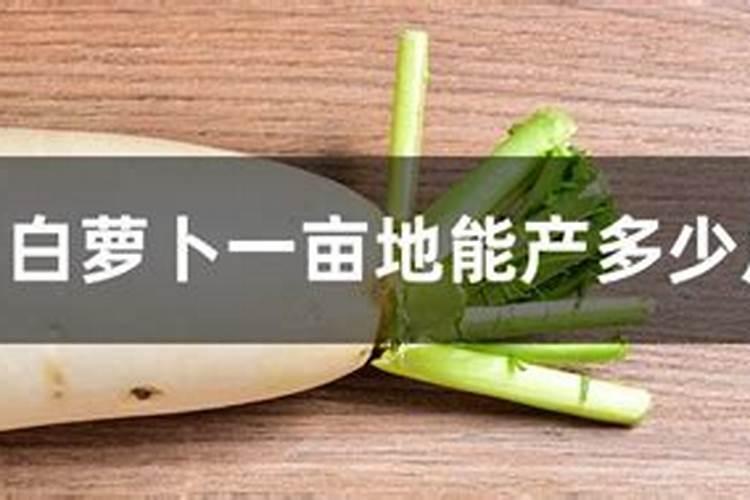 一公斤含氨基酸水溶肥料一喷红打几亩地