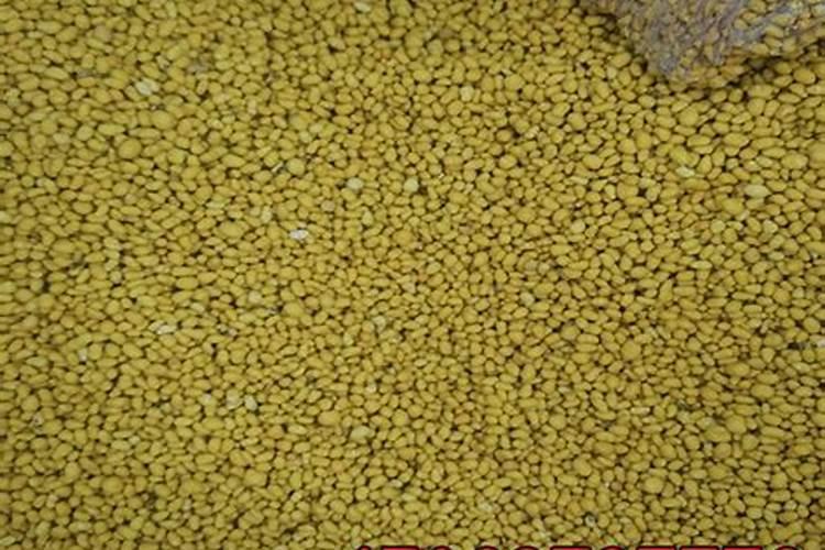 一平方米的草坪要多少钱