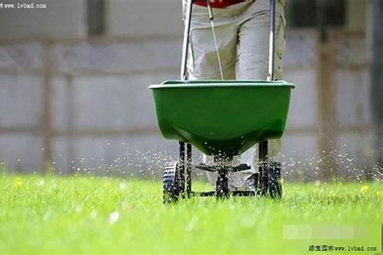 草坪要施哪种肥料才可以常保翠绿？需要注意哪些细节