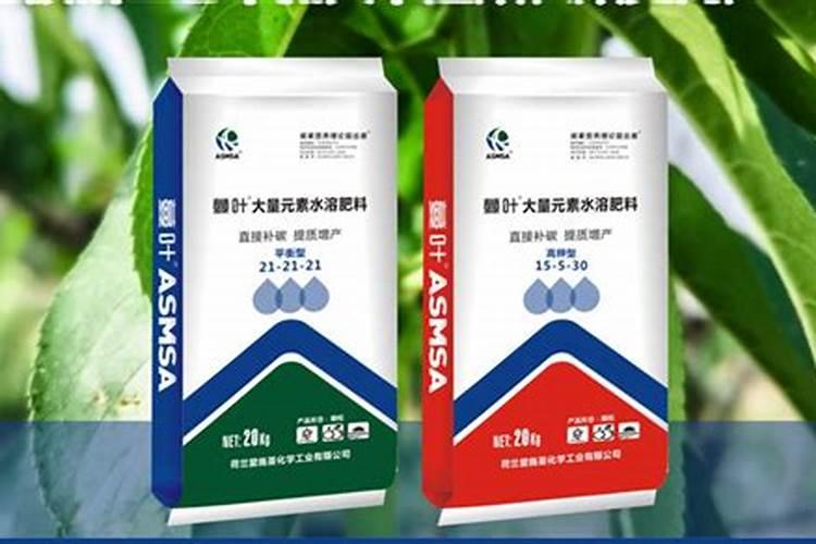 菊花为什么不能施尿素肥？