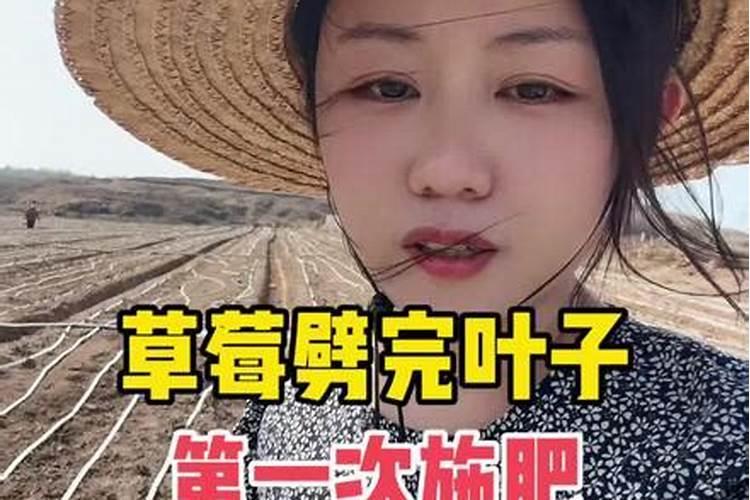 小树几天可以施一次肥？