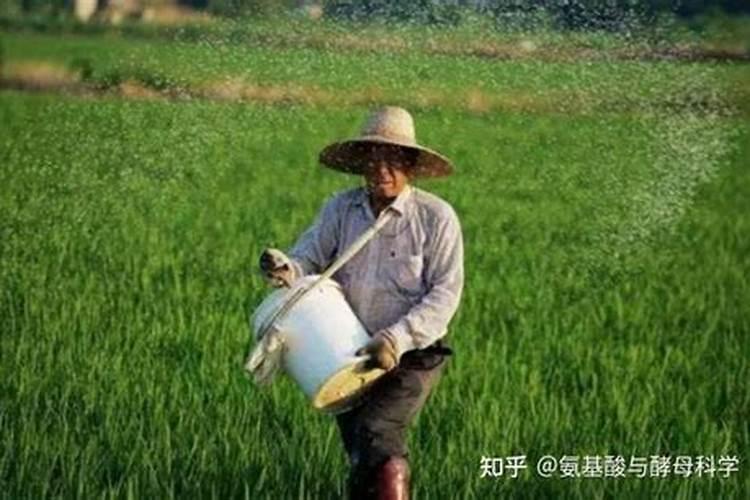 别再乱施肥了!腐植酸类肥料的作用和用法都在这里,赶紧安排上!百度...