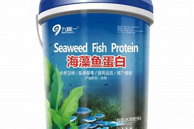 巨峰葡萄转色期间地下冲施海澡鱼蛋白可不可以