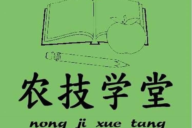 钾肥用什么方法能溶于水快一点还不影响肥效？