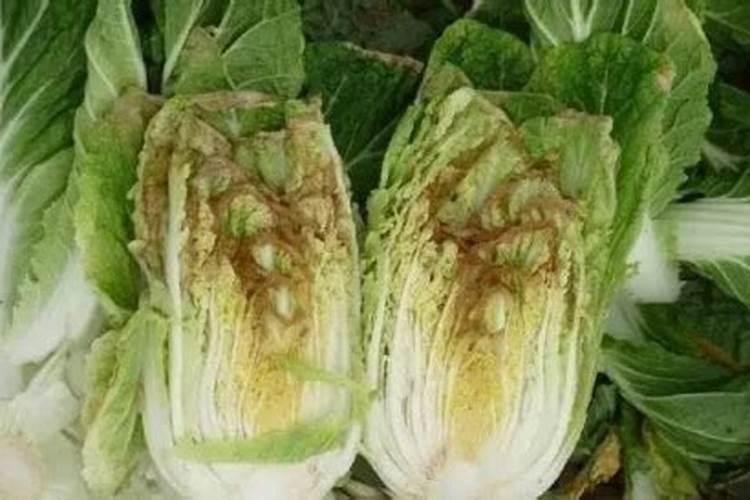 花生秧干到什么程度可以库存？