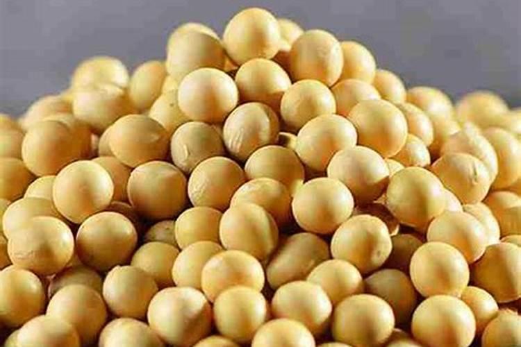 硫酸钾与普通复合肥的区别是什么？