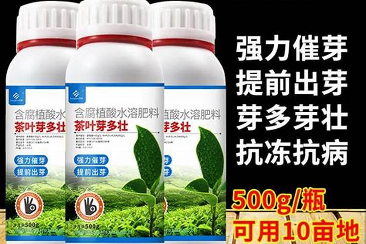 番茄的施肥有哪些要求