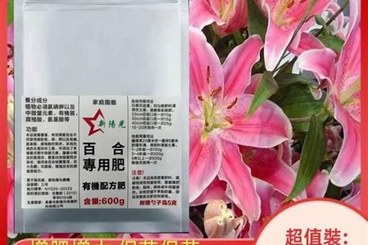 百合花叶子从下面开始发黄枯萎是什么原因是什么原因百合花叶子从下面开...