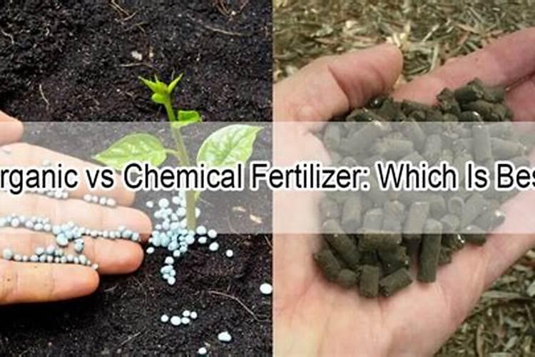 多肉夏天多久喷水