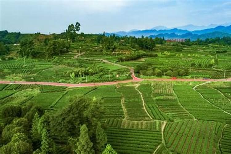 硼肥多少钱一千克