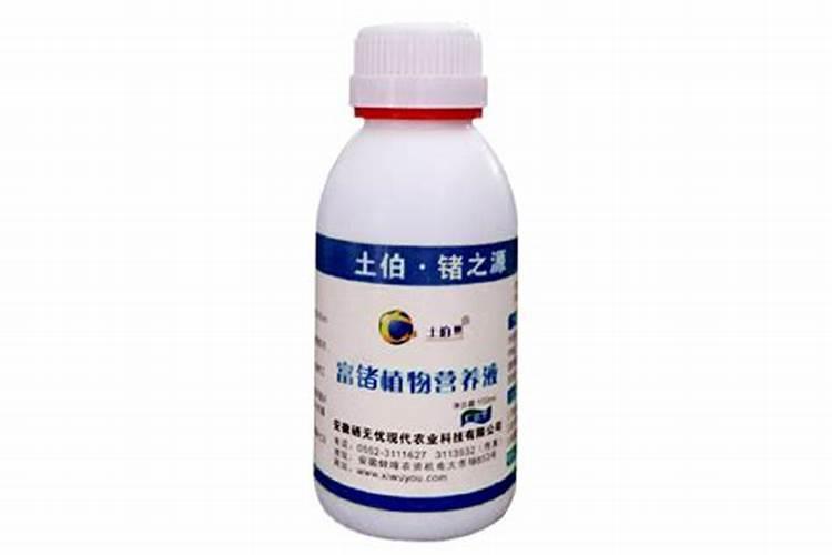 水仙花水培开花期间施肥