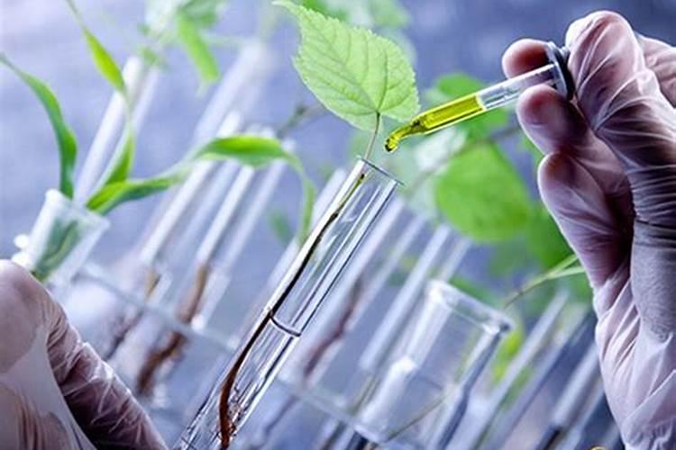 益施秋实中量元素水溶肥用量是多少