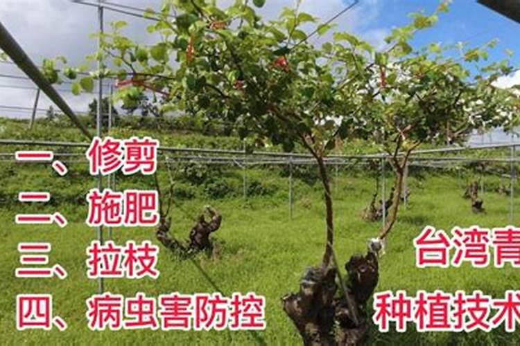 磷酸和硫酸混合在一起会有反应吗？