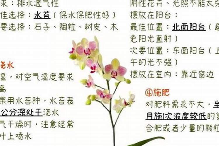 硼肥在果树使用禁忌