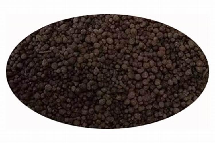 自由水/结合水比值低,代谢速率低,抗性强 这句话什么意思？