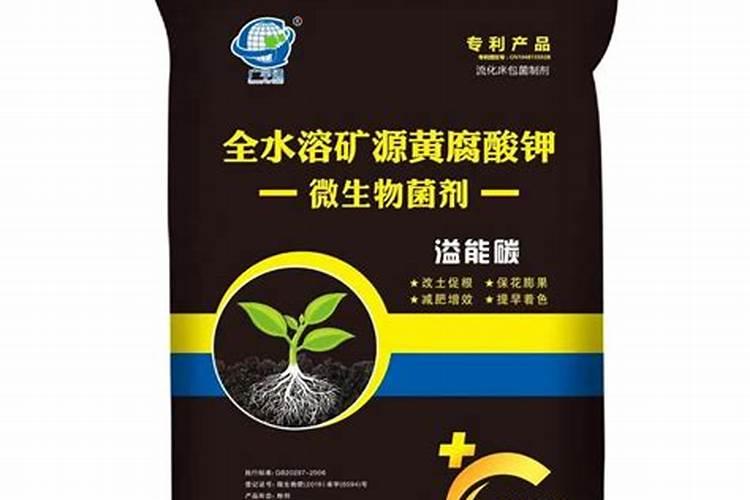 多肉植物用什么肥料好
