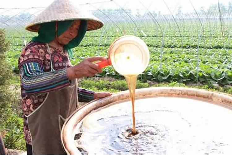 土豆可以用尿素施肥吗 开花前可以使用吗